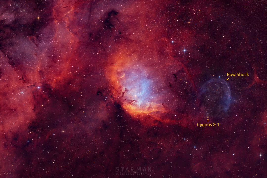 A picture of a starfield with red emission nebulae is shown.  Toward the right is a point of light that is Cygnus X-1, a nearby  black hole. Above the black hole is a blue-shaded bow shock wave  in the surrounding gas.  Please see the explanation for more detailed information.