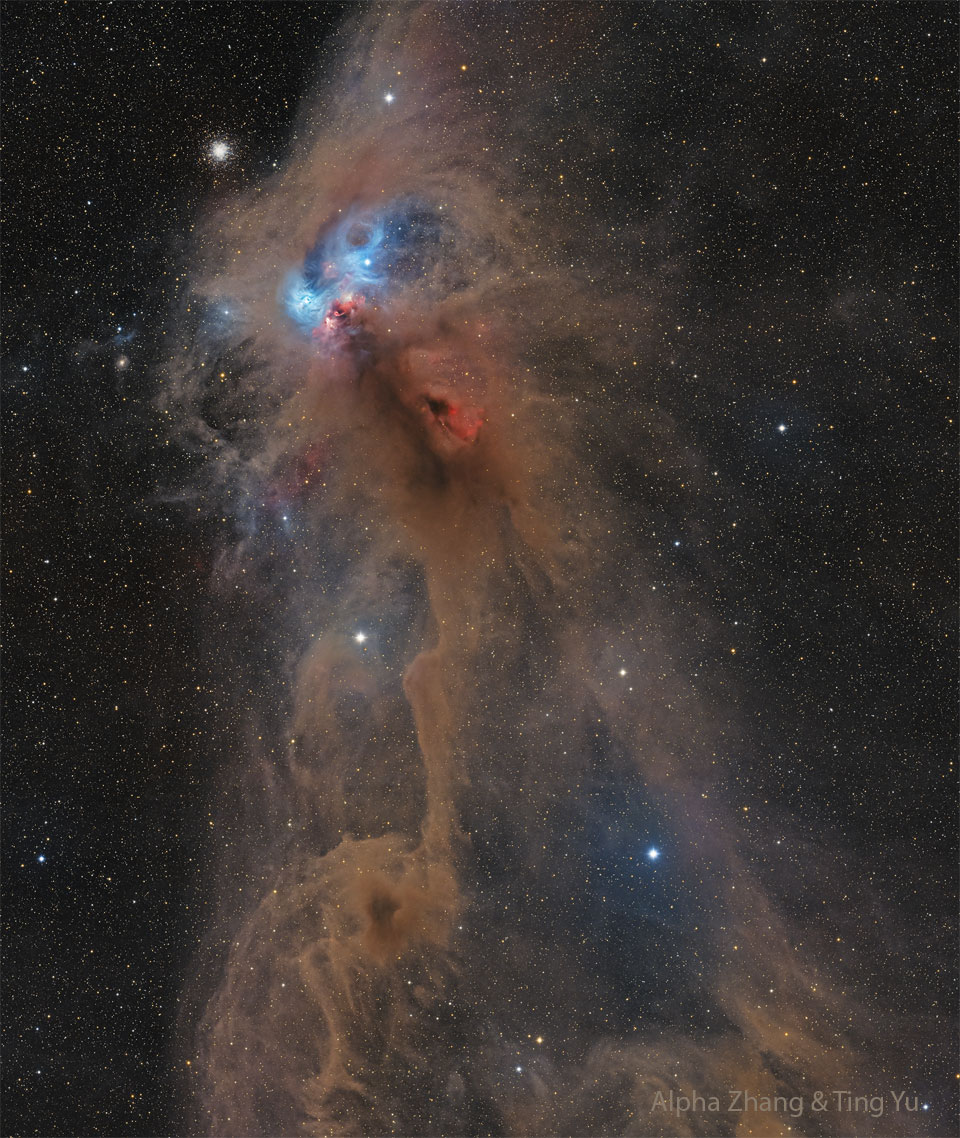 A brown dusty nebula is shown in front of a star field.  The nebula looks to some like a baboon, with red emission  stemming from the mouth and blue reflection from the eyes.  Please see the explanation for more detailed information.