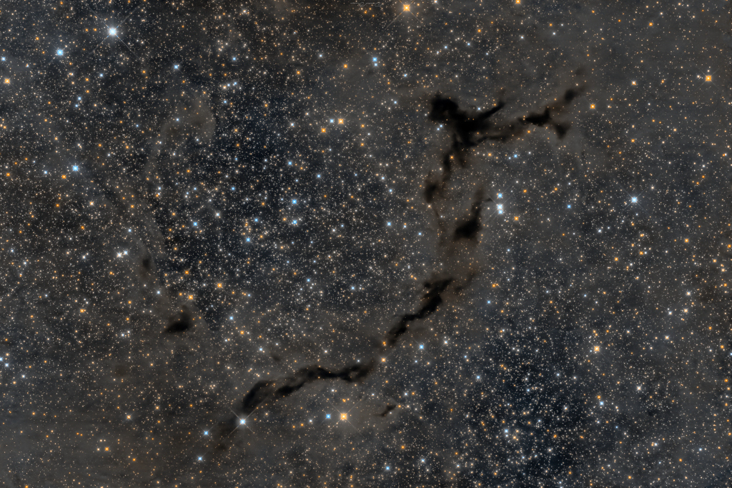 The Dark Seahorse of Cepheus