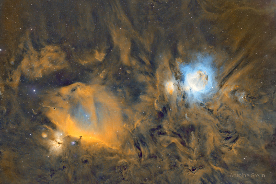 The featured image a starfield that glows gold. On the left  is the dark horsehead nebula, while on the right is the blue-glowing  Orion Nebula.  Please see the explanation for more detailed information.