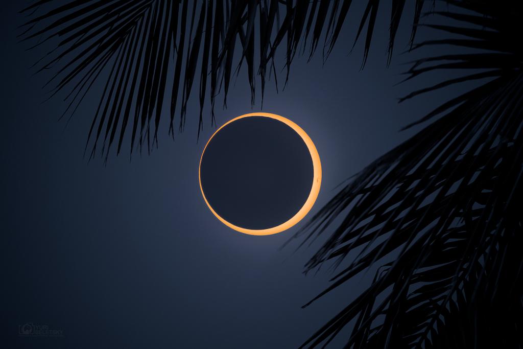 Lazy loaded image