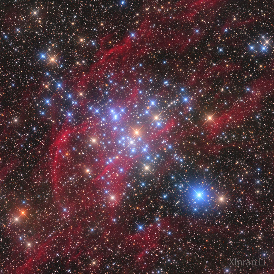 M41：小蜂巢星团