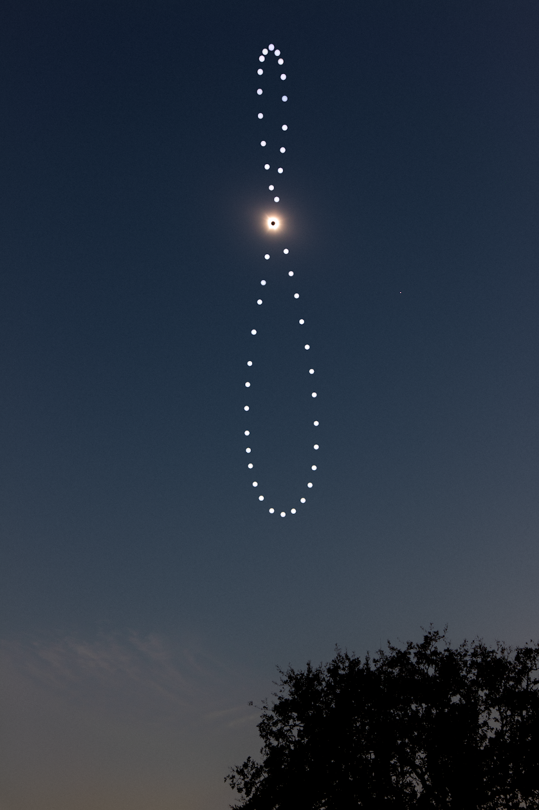 The Solar Eclipse Analemma Project