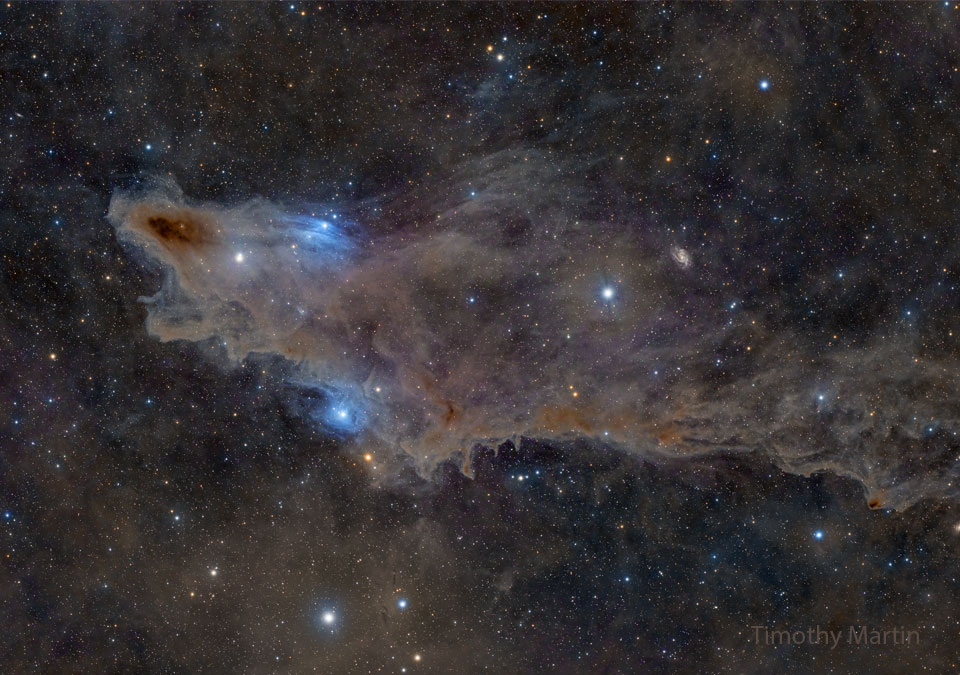 LDN 1235: The Shark Nebula