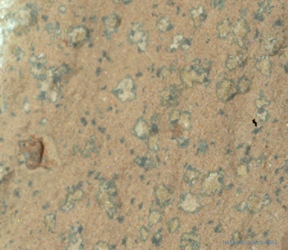 Leopard Spots on Martian Rocks