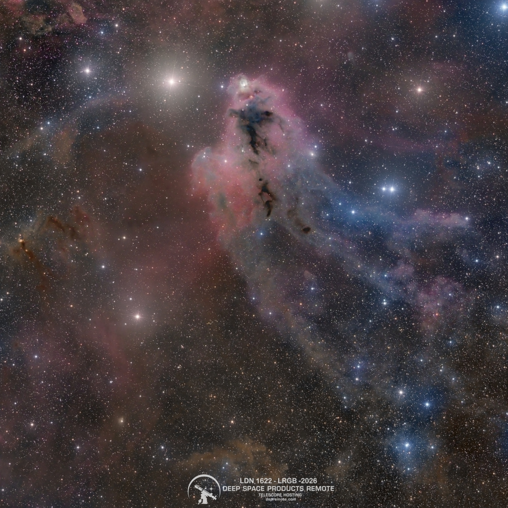 LDN 1622: Dark Nebula in Orion