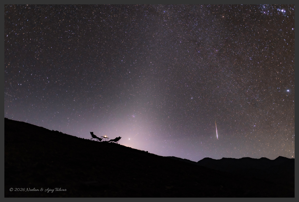 A Zodiacal Night