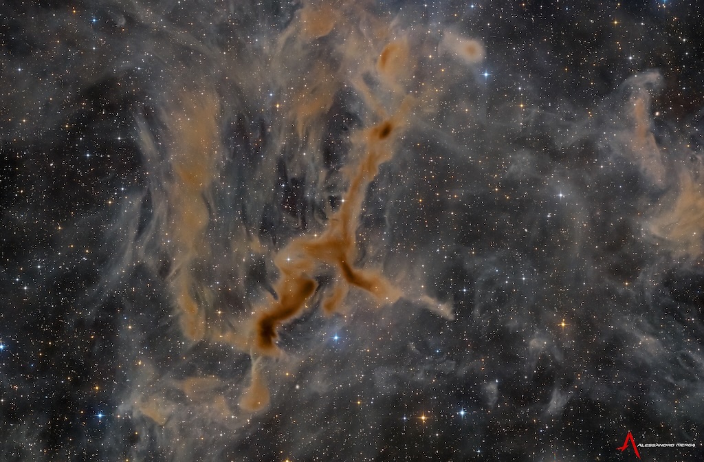 LDN 1295: The Giraffe Nebula