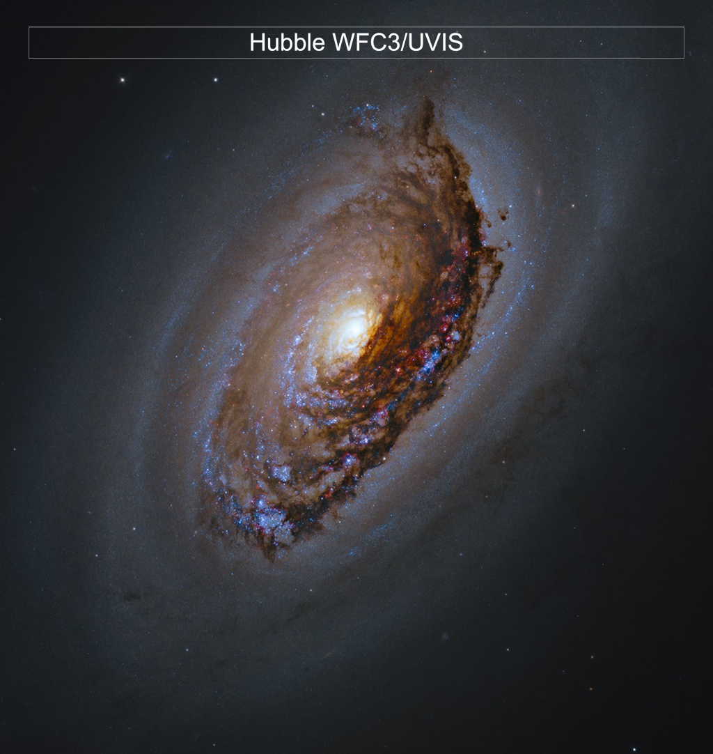 Hubble and JWST image of M64. A massive spiral galaxy glows with a yellow core, surrounded by arms full of orange-brown dust and pink and blue patches of star formation. Framed by a haze of dark dust, the galaxy shines against black space dotted with a few stars.