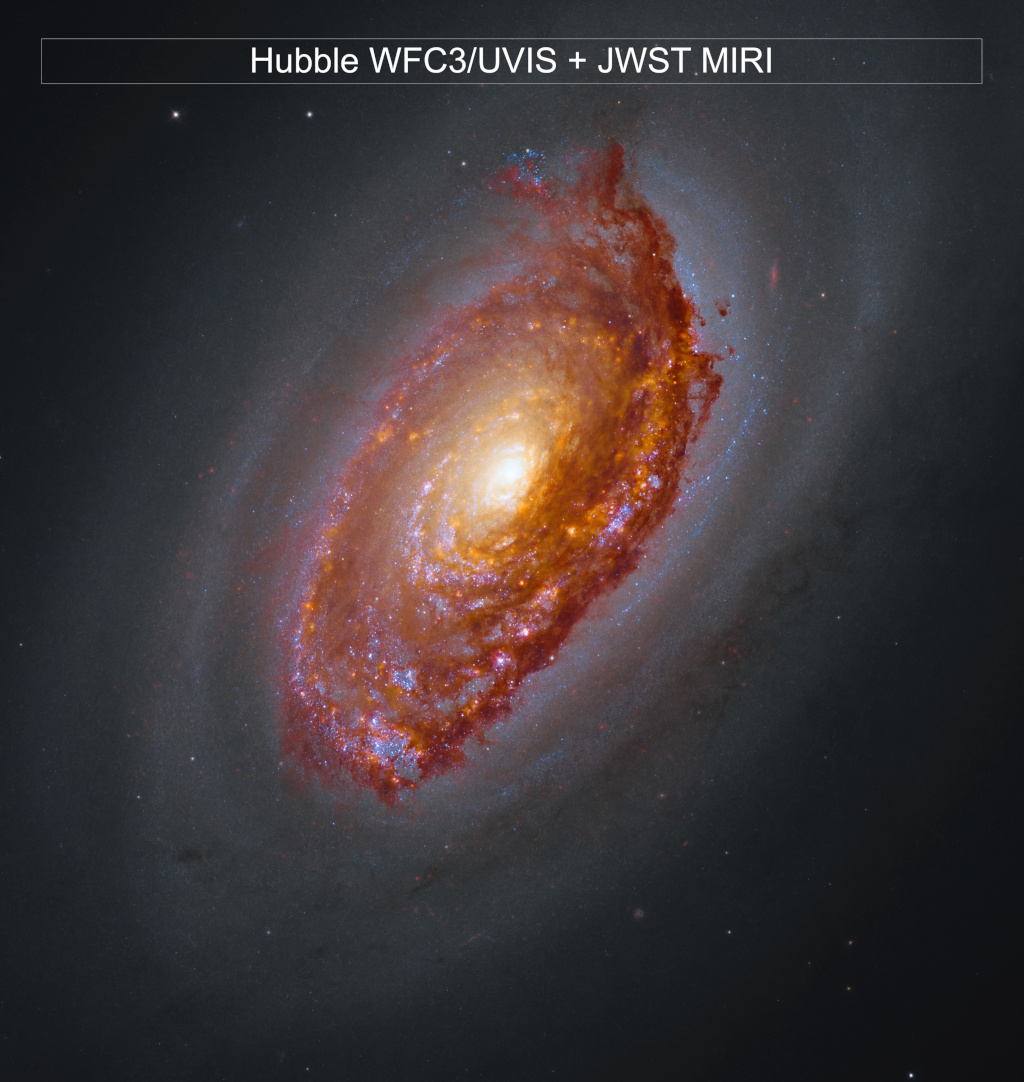 Webb's View of M64