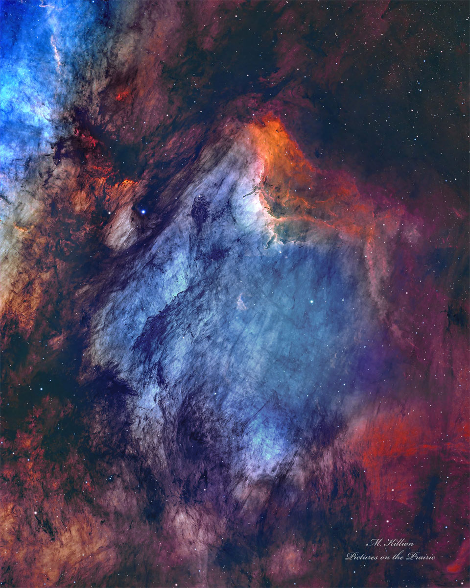 The Pelican Nebula in Gas, Dust, and Stars