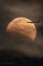Thumbnail image. Click to load APOD for this date