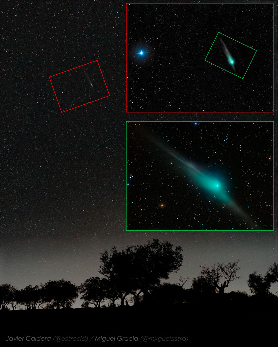 Comet ZTF is shown high above and far beyond a row of silhouetted 
trees. The top inset image shows how the comet looked through binoculars,
while the lower inset image shows how the comet looked, last week, 
thought a small telescope. The lower inset image clearly shows the
comets coma, dust tail, ion tail, and a noticeable antitail.
Please see the explanation for more detailed information.