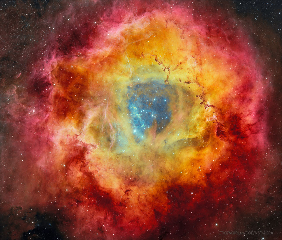A deep image of the Rosette Nebula is shown along 
with a field of stars. As many color filters were used, 
the flowery nebula takes on many colors with blue in the
center, yellow and orange around the blue, and red 
around the outside. 
Please see the explanation for more detailed information.