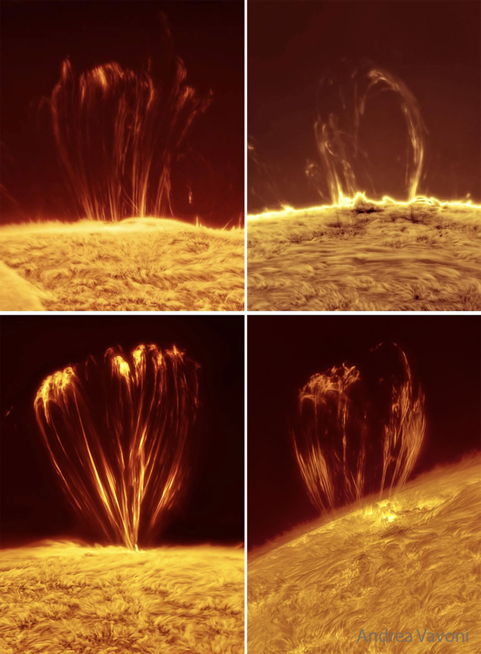 Four images of the Sun's edge are shown. In each
a loop of bright material is captured above the 
Sun's surface. 
Please see the explanation for more detailed information.